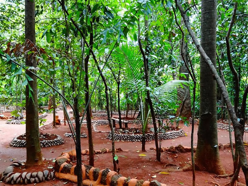 jardin